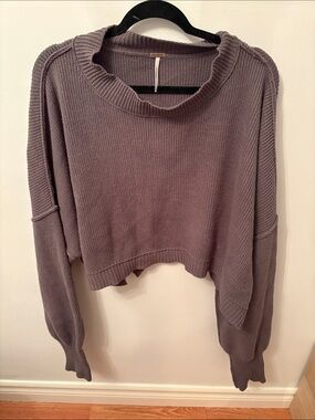 Free People Lavender Gray Cropped Ribbed Crew Sweater